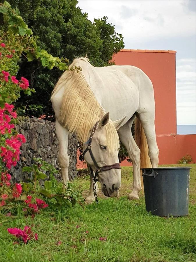 Quinta Da Falesia - Casa Branca Понта-Делгада Екстер'єр фото